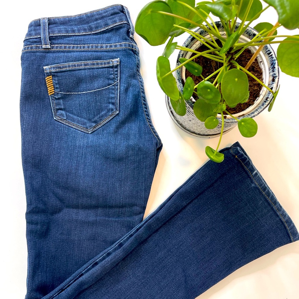 Paige premium denim skinny flare in size 26